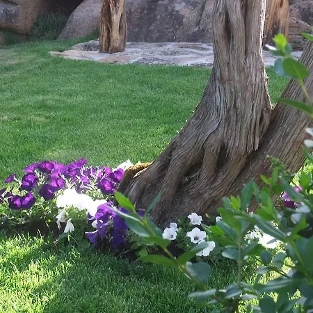 Residenza Nialiccia 3* Abbiadori