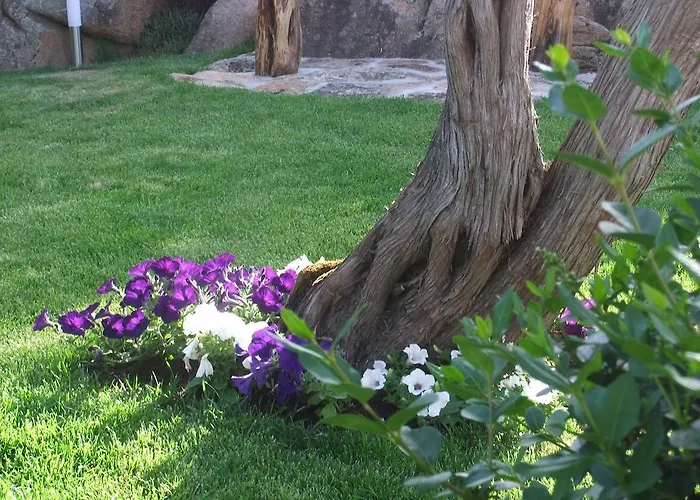 Residenza Nialiccia 3* Abbiadori
